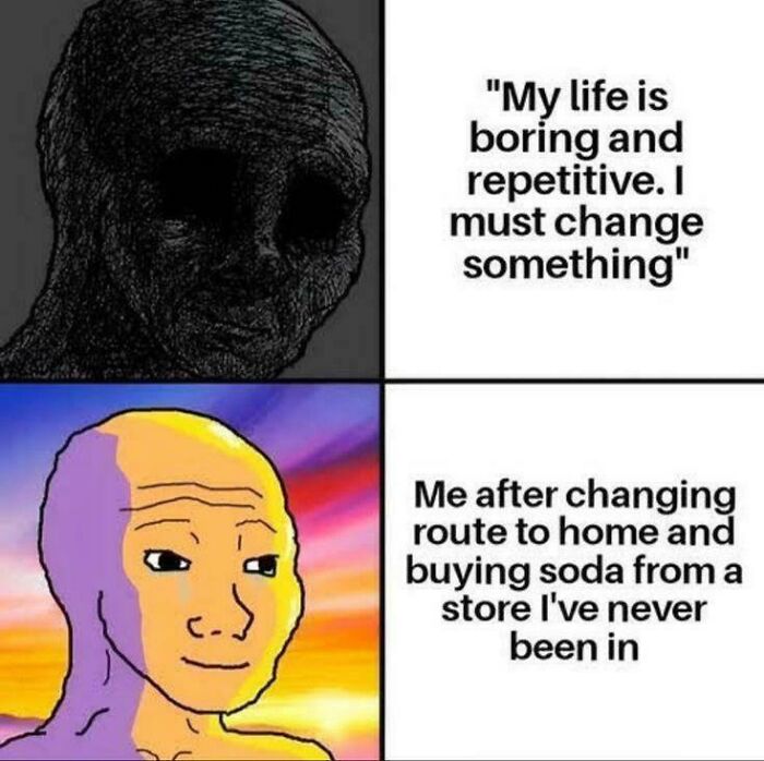 Things-Everyone-Does-Memes-Jokes