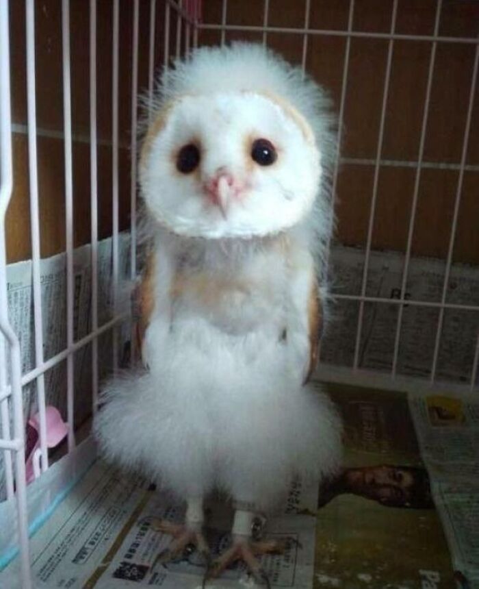 Steph Hadn’t Dated Since 1984 And She Felt Stupid In The Corner Of The Club Dressed Like Cyndi Lauper