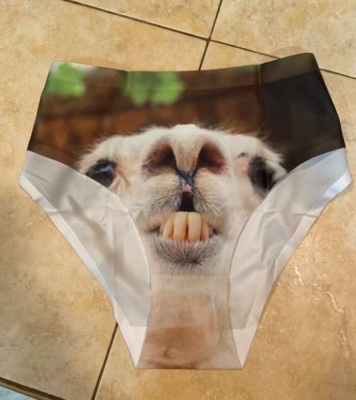 Don't Forget To Alpaca These Women's Briefs In On Your Next Trip