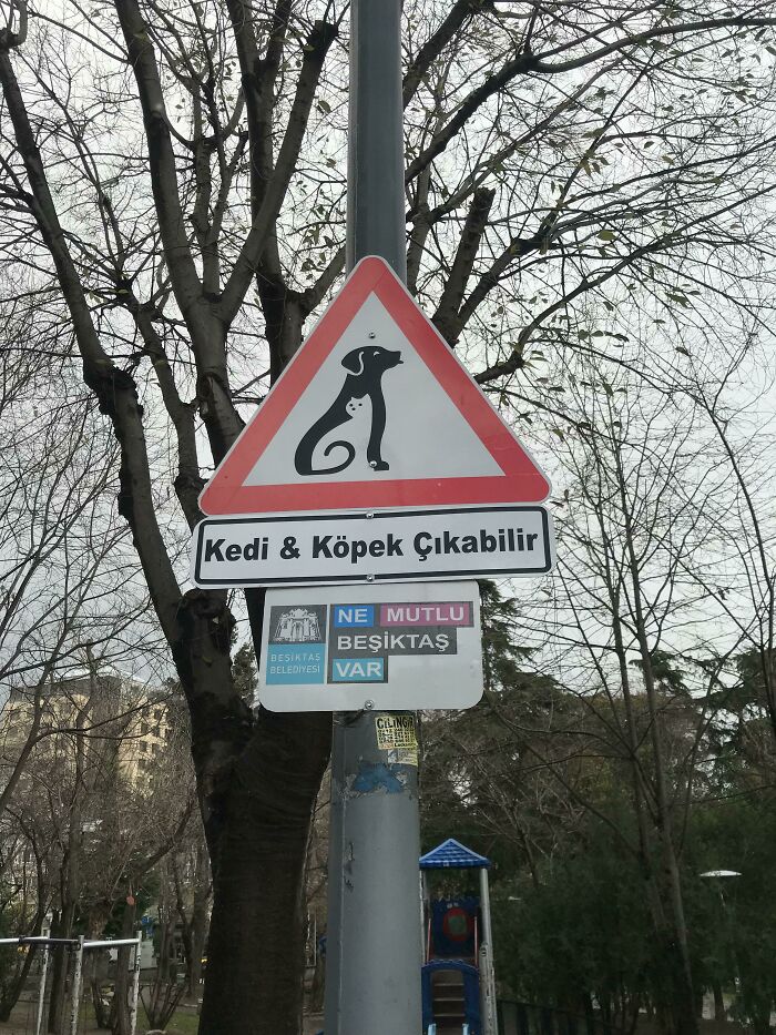 "Cuidado con los gatos y los perros", cerca de un parque en Estambul