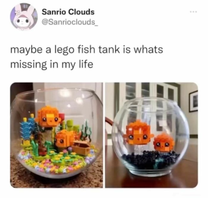 Lego fish tank meme with colorful fish models in glass bowls, showcasing random humor.
