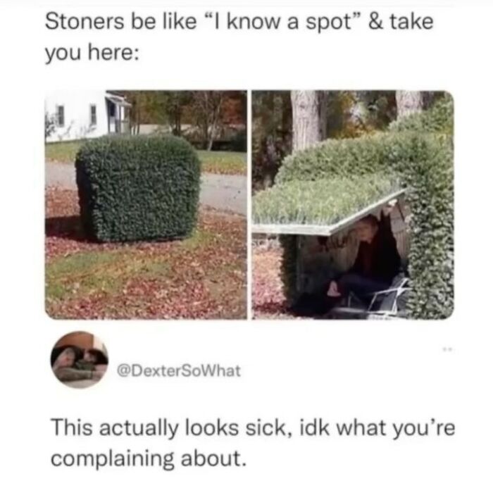 Meme showing a person hidden under a bush with a caption about knowing a secret spot, illustrating random humor.