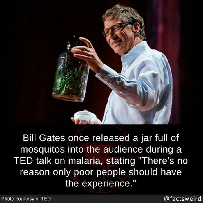 Man holding a jar of mosquitoes during a presentation on malaria, illustrating a weird fact.