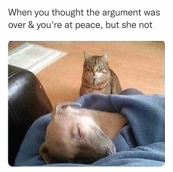 Humorous-Animal-Memes