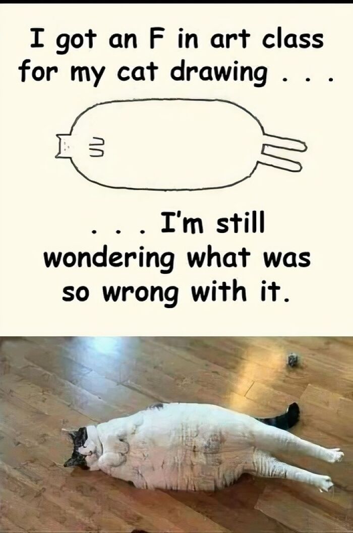 Humorous-Animal-Memes