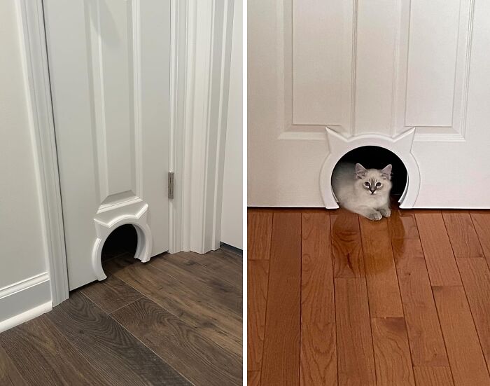 Whether You Love Or Hate Your Cat, You Have To Admit This Cat Door Is Pretty Cool!