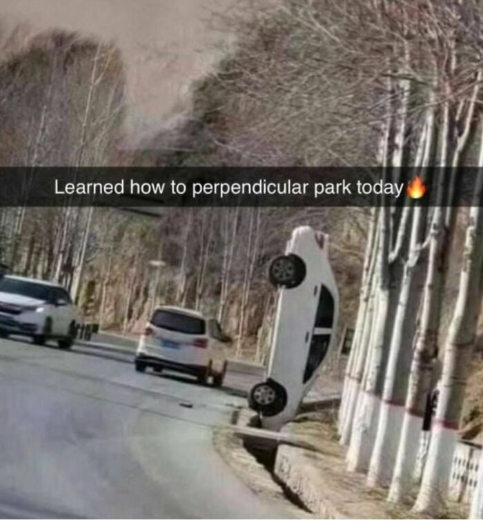 Car parked perpendicularly against tree, humorous meme.