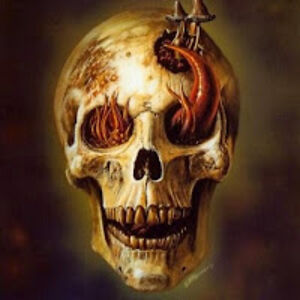 williamjenkins avatar