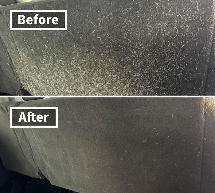 This Mini Pet Hair Detailer Is The Tiny Tool That's Making Pet Hair Disappear Like Magic – It's No Wonder Bored Panda Users Are Obsessed!