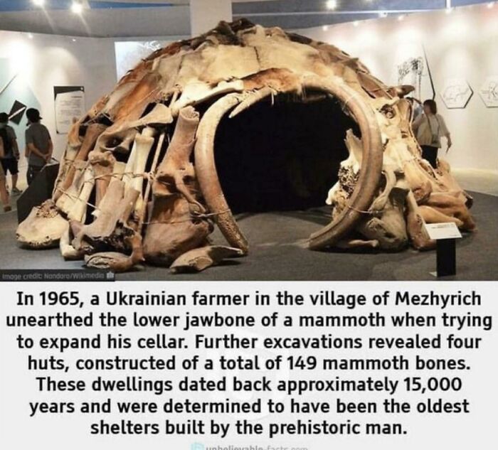 Prehistoric Hut