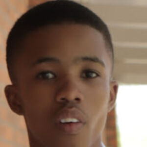 chestajabbarri avatar