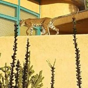 maryregnier_1 avatar