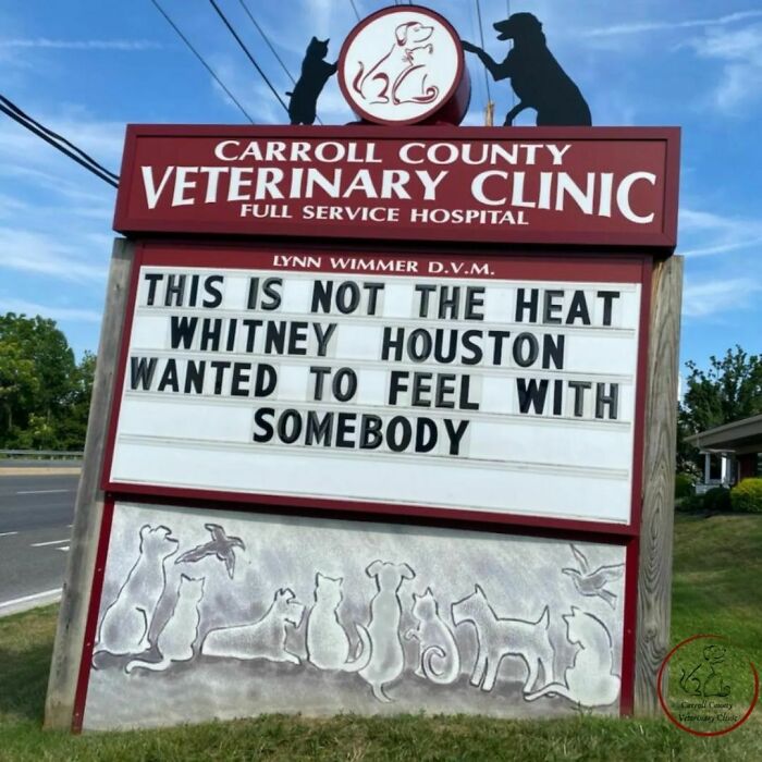 Vet hospital sign with a genius joke referencing Whitney Houston's song.
