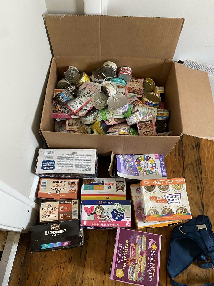 Pulled From A Local Pet Stores Dumpster