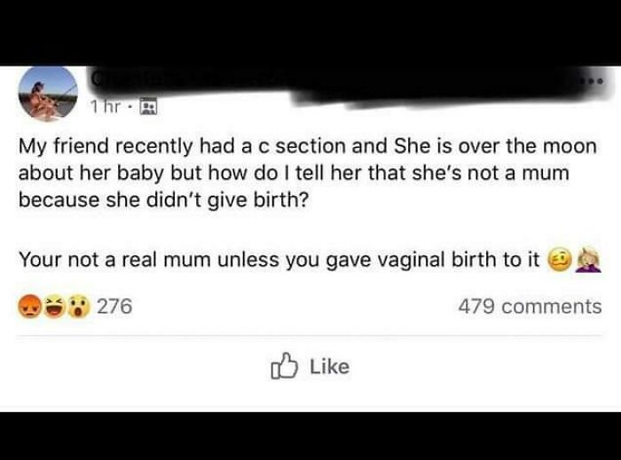 "Your Not A Real Mum Unless You Gave Vaginal Birth To It"