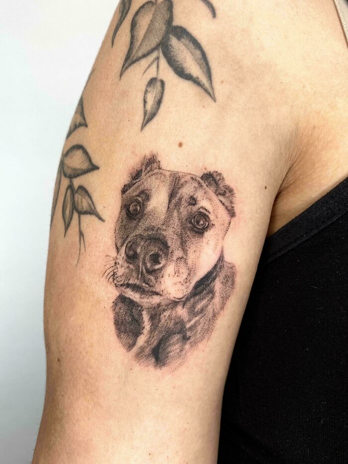 Realistic dog tattoo design on upper arm, showcasing tattoo artist's skill and creativity.