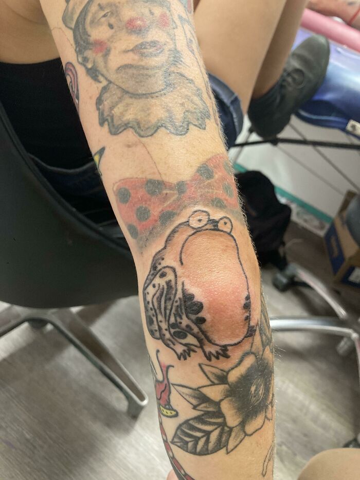 My Take On The World’s Greatest Frog