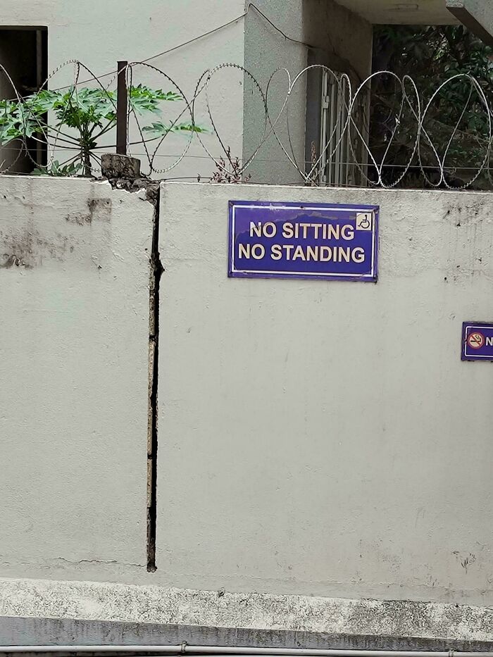 What Am I Supposed To Do?