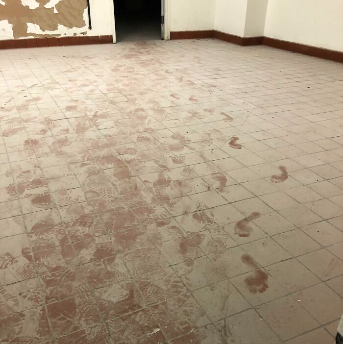 It Appears I Had A Visitor While Working Alone In A Large Abandoned Basement