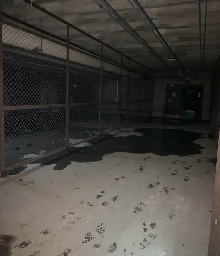 Cages In The Basement Of An Abandoned Asylum