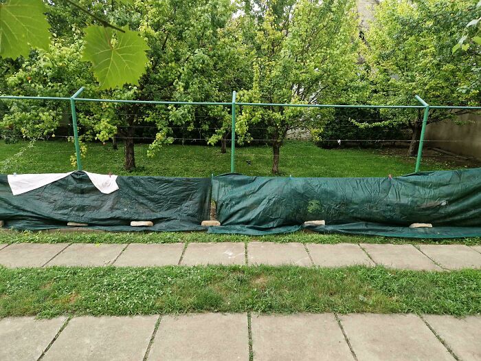 Ready For Hail Storm. I Hope My Garden Survives