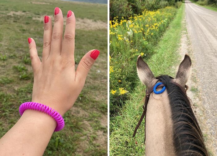 Hand wearing a purple coil bracelet next to a horse with a similar blue coil on its mane, showcasing camping hacks outdoors.