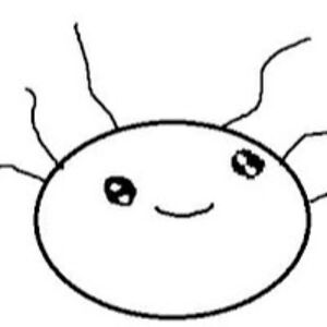 axylotlguy404 avatar
