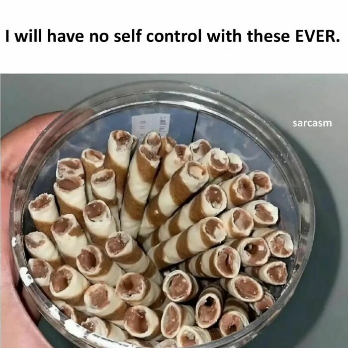 Container filled with wafer rolls with chocolate cream, relatable meme about no self control, work stress humor, and hilarious memes.
