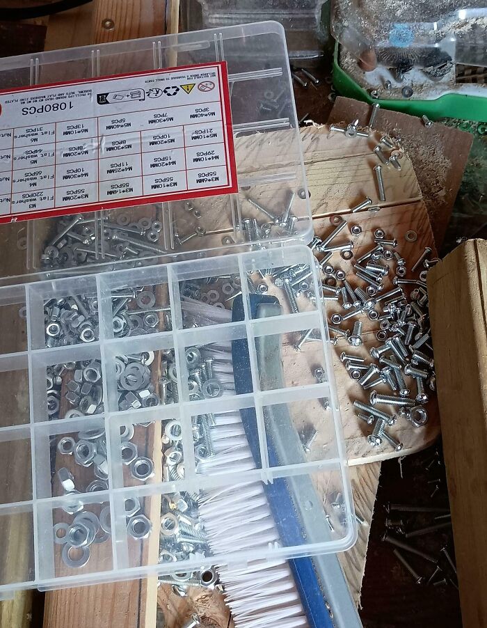 Estaban todos clasificados...