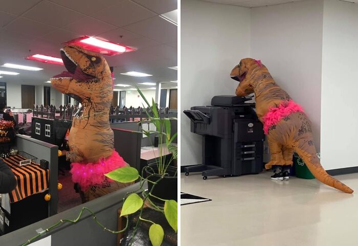 There Isn't Any Situation That Isn't Made A Million Times More Funny With The Addition Of An Inflatable T-Rex Costume