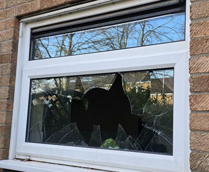 Algunas mujeres aparentemente no aceptan muy bien el rechazo