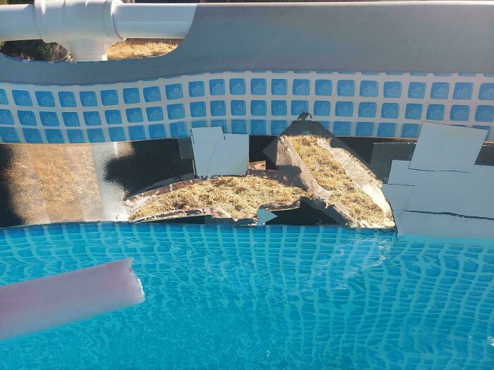 Confusing image of a pool with a torn liner, revealing grass through the gap, creating an optical illusion.
