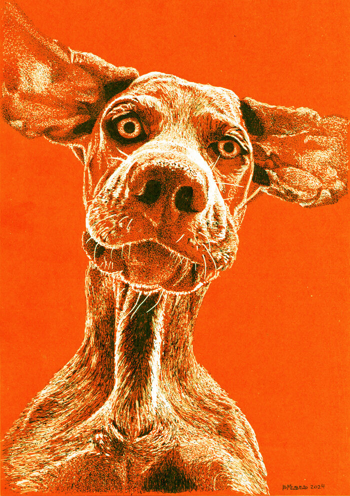 My 13 Dot Drawings On Orange Paper