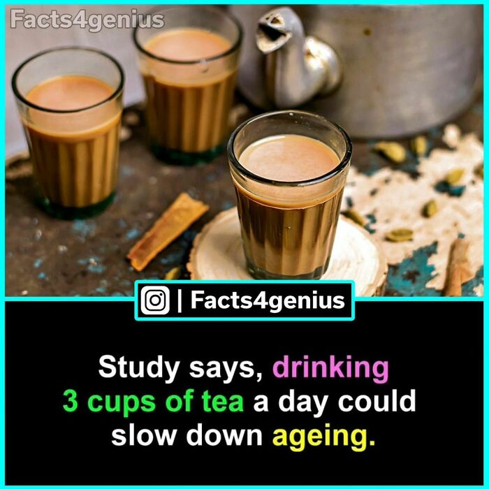 Three cups of tea beside a kettle, highlighting interesting facts for genius on tea benefits and aging.