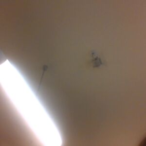 stephanieashelford avatar