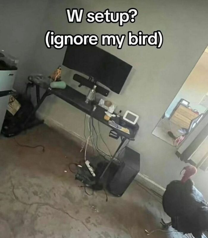 Computer desk setup with a monitor and various items; a bird stands nearby on the floor.