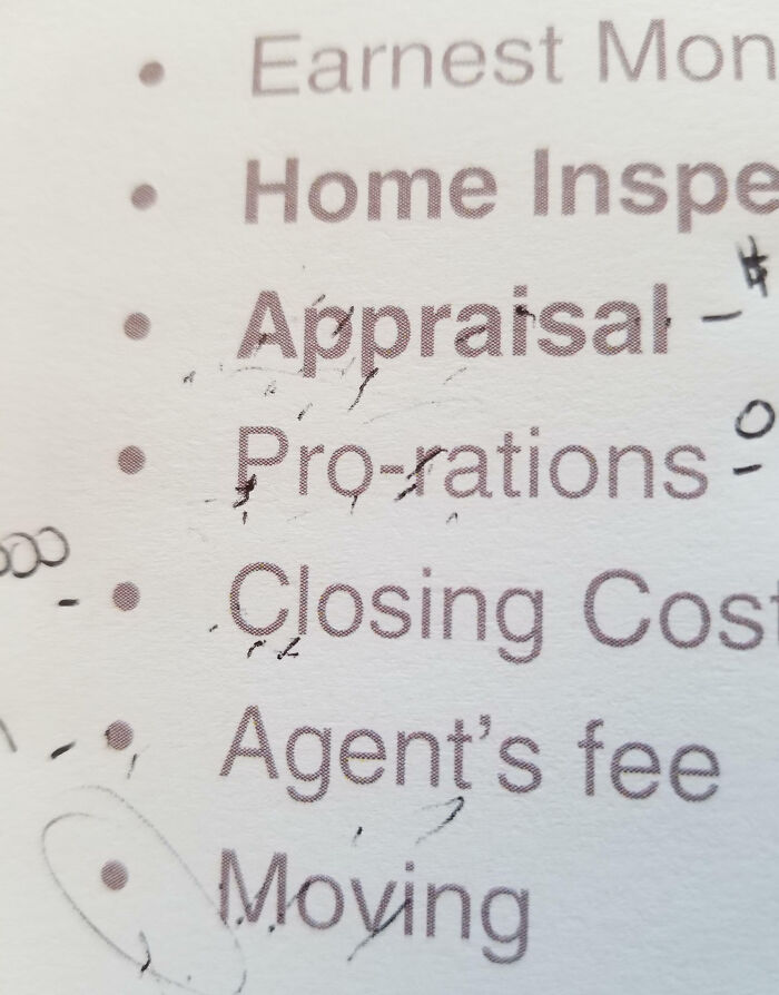 My Realtor Used Her Pen As A Pointer While Explaining My Welcome Packet