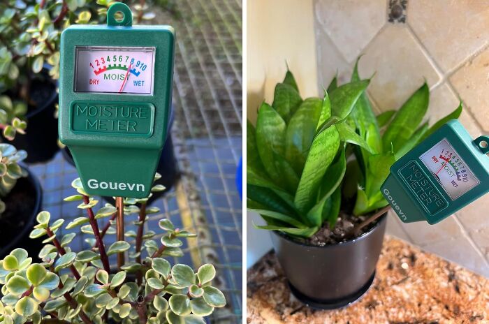 Green moisture meter in potted plants, showing dryness levels to simplify plant care chores.