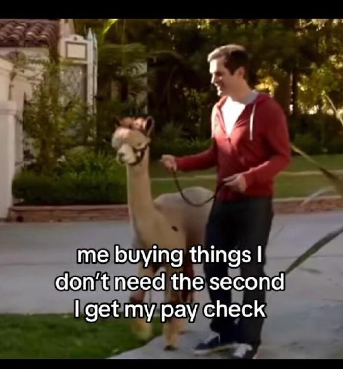 Funny-Work-Life-Memes