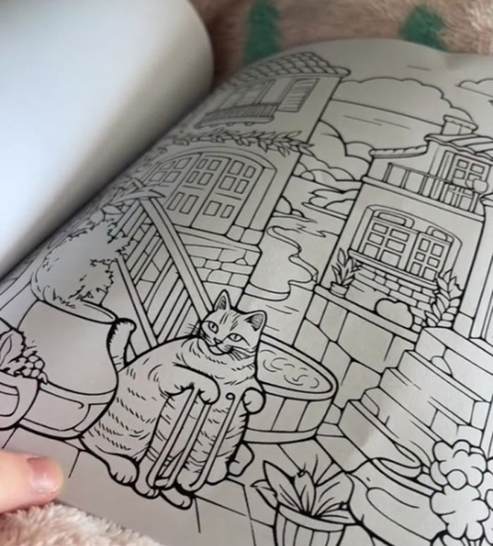 Woman Thinks She Bought A &ldquo;Normal&rdquo; Kitty Coloring Book, Starts Noticing Odd Things About It
