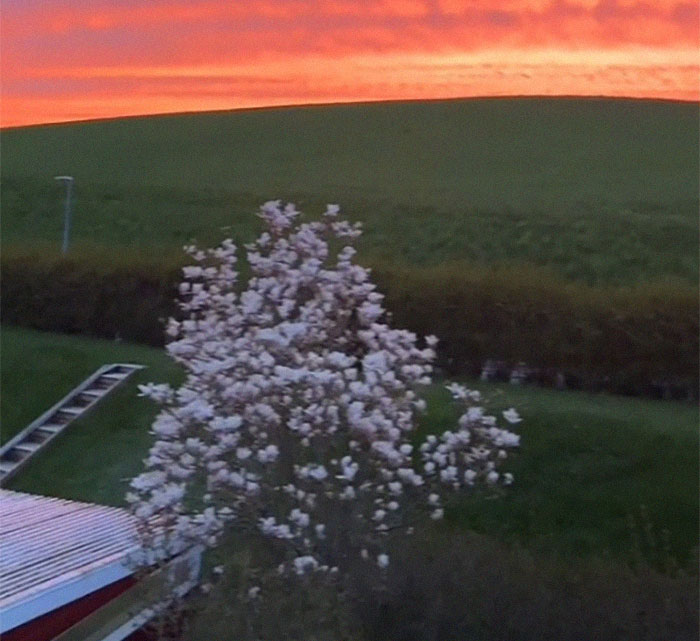 Woman Shares Her Swedish Neighborhood Shocks After Moving From The US Woman Shares Her Swedish Neighborhood Shocks After Moving From The US