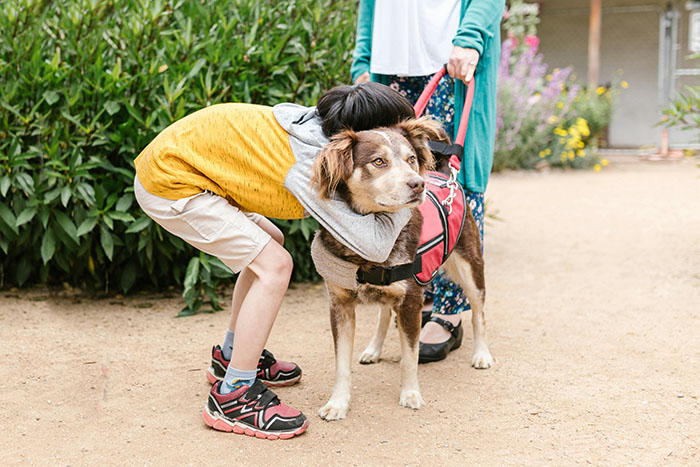 Netizens Have Their Hearts Melt As This Mom Wholesomely Stops Her Girl From Petting Service Dog Netizens Have Their Hearts Melt As This Mom Wholesomely Stops Her Girl From Petting Service Dog