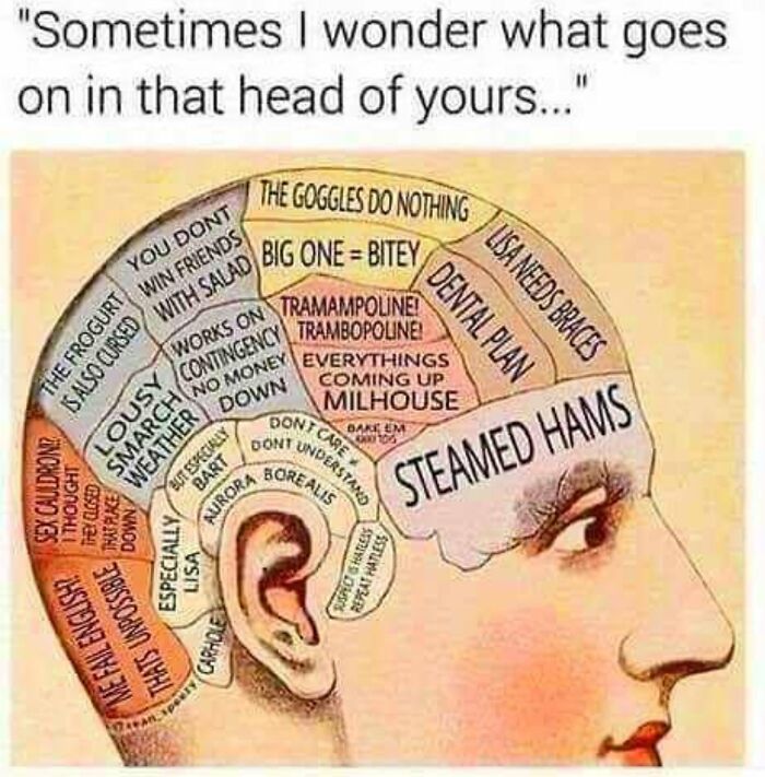 Funny-Simpsons-Memes