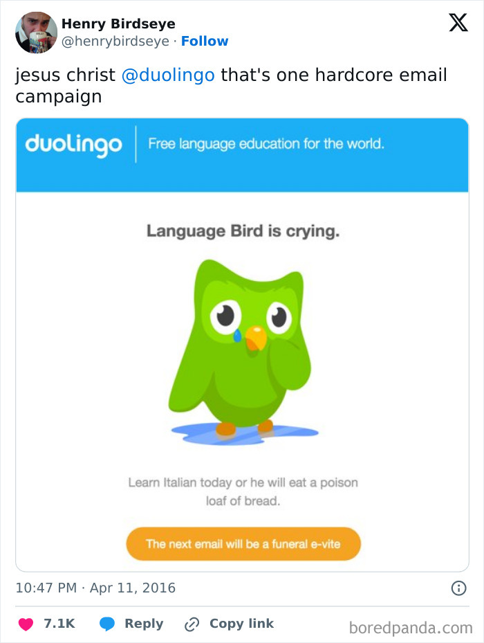 Duolingo meme featuring the crying owl, humorously threatening language learners via email.