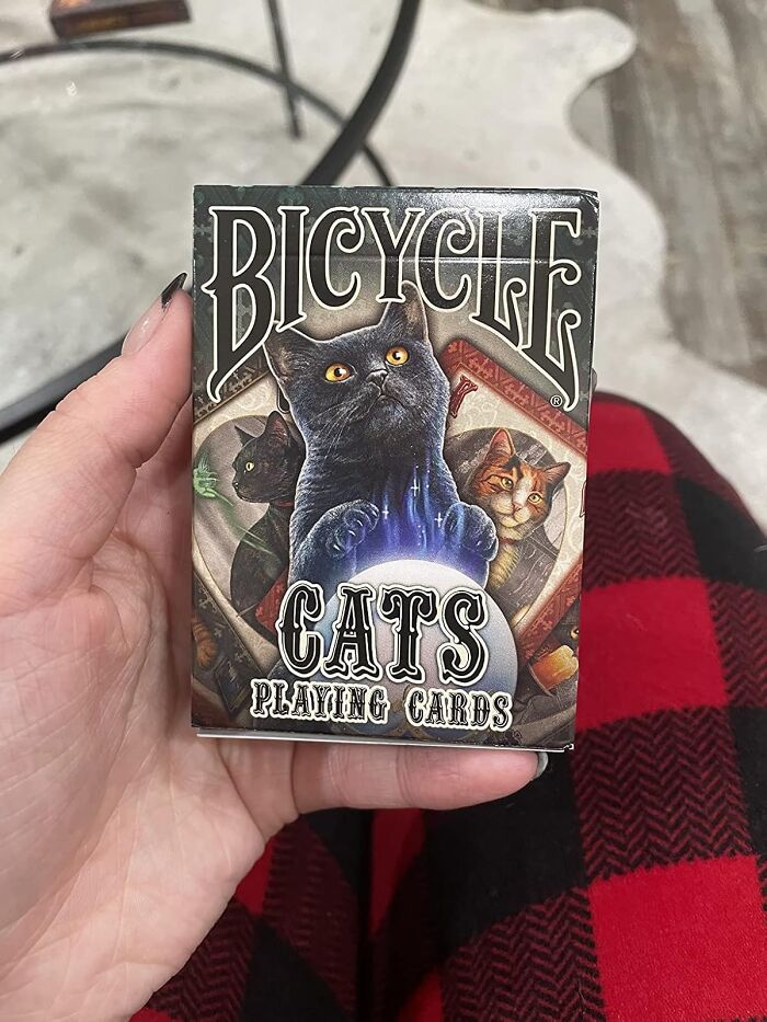 Bicycle Cats Playing Cards: Deal Yourself A Winning Hand With These Cards That Are Sure To Be The Cat's Pajamas