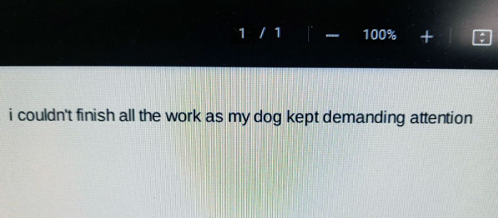 I Got This Excuse From A Student Today