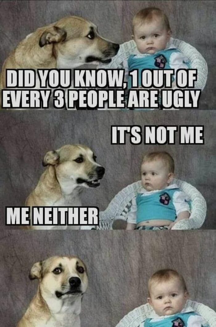 Humorous-Animal-Memes