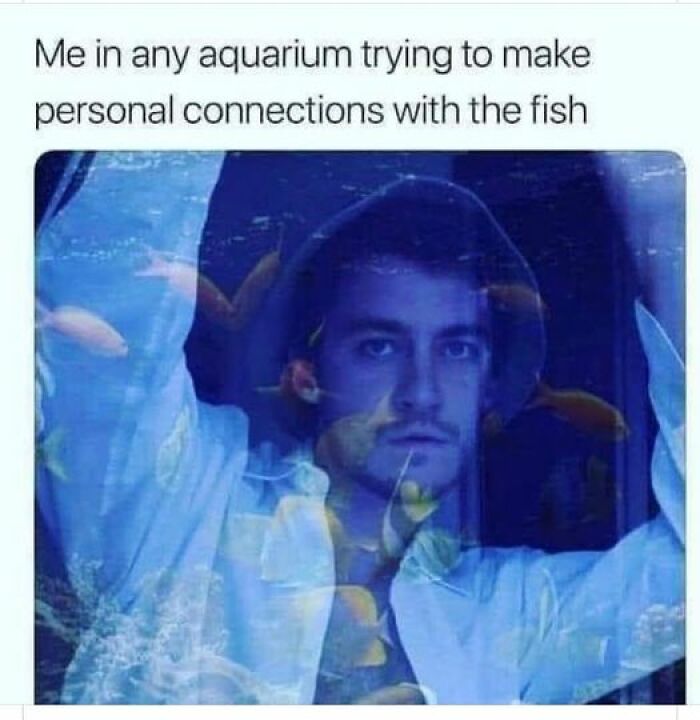 Funny-Work-Life-Memes