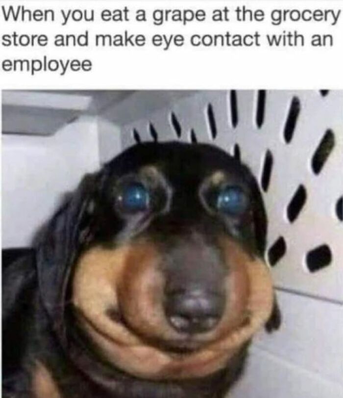 Funny-Work-Life-Memes