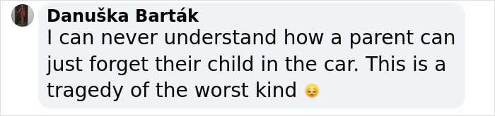 Wife Defends Dad Who Tragically Left Two-Year-Old Daughter In Hot Car While Playing Video Games